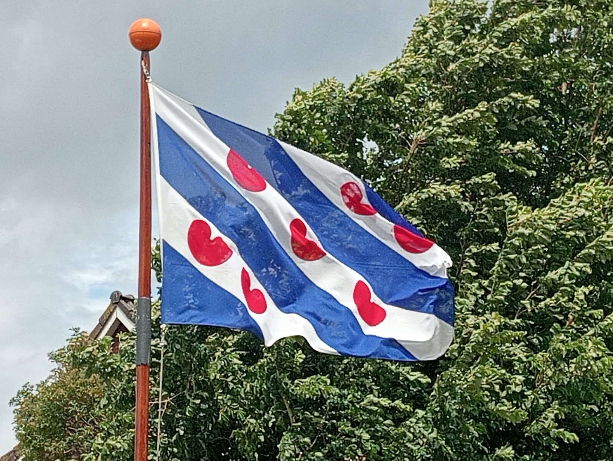 De Wâd, weilân & Wêrom Rit